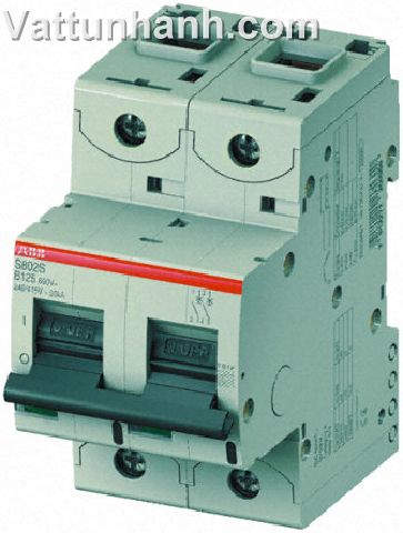 MCB,50kA,Type B characteristic,double pole,125A,35mm capacity,S800